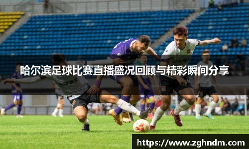 哈尔滨足球比赛直播盛况回顾与精彩瞬间分享