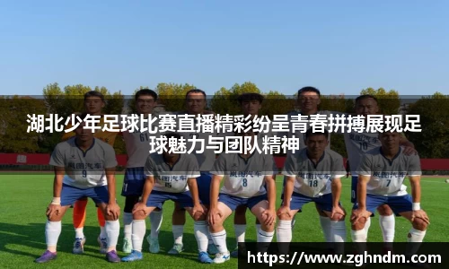 湖北少年足球比赛直播精彩纷呈青春拼搏展现足球魅力与团队精神