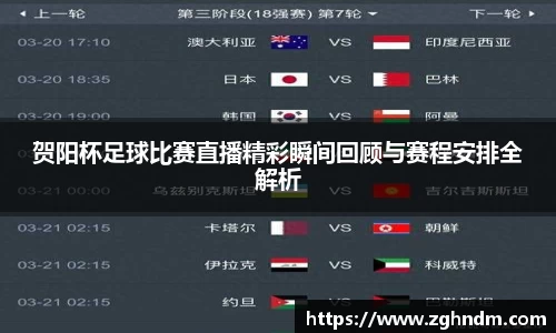 贺阳杯足球比赛直播精彩瞬间回顾与赛程安排全解析