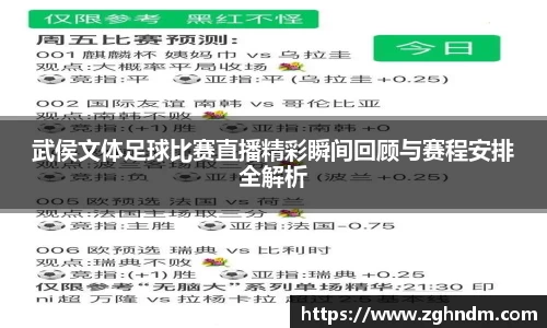 武侯文体足球比赛直播精彩瞬间回顾与赛程安排全解析