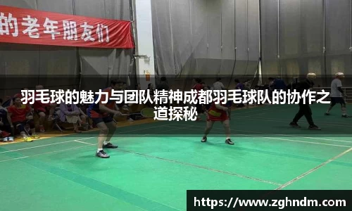 羽毛球的魅力与团队精神成都羽毛球队的协作之道探秘