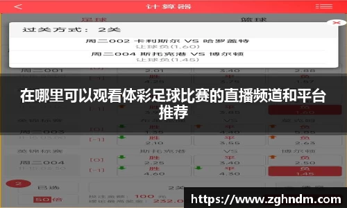 在哪里可以观看体彩足球比赛的直播频道和平台推荐