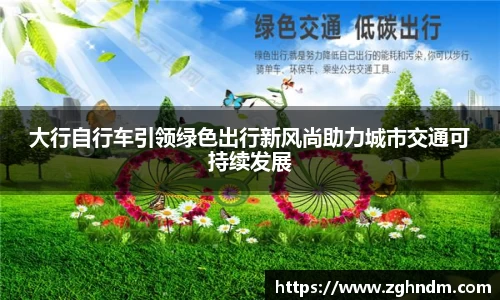 大行自行车引领绿色出行新风尚助力城市交通可持续发展